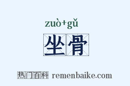 坐骨是什么意思的图片